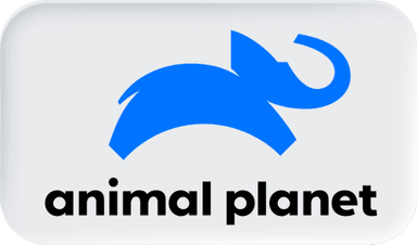 Logo Animal Planet